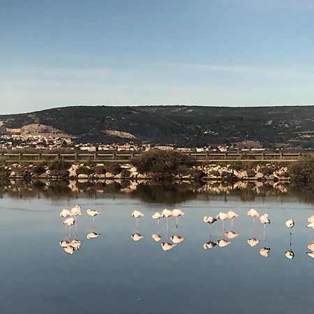 Flamants Roses 1 Pers 6 Фронтиньян Экстерьер фото