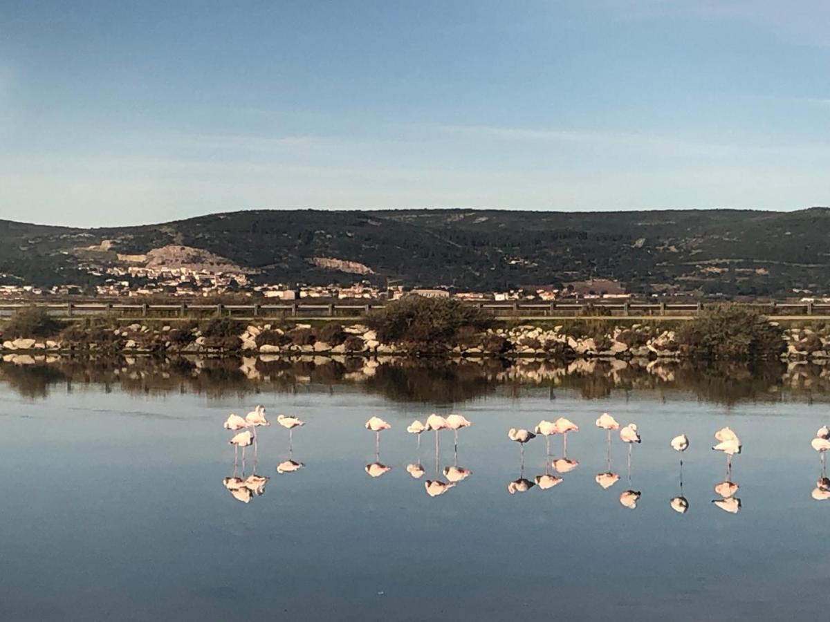 Flamants Roses 1 Pers 6 Фронтиньян Экстерьер фото